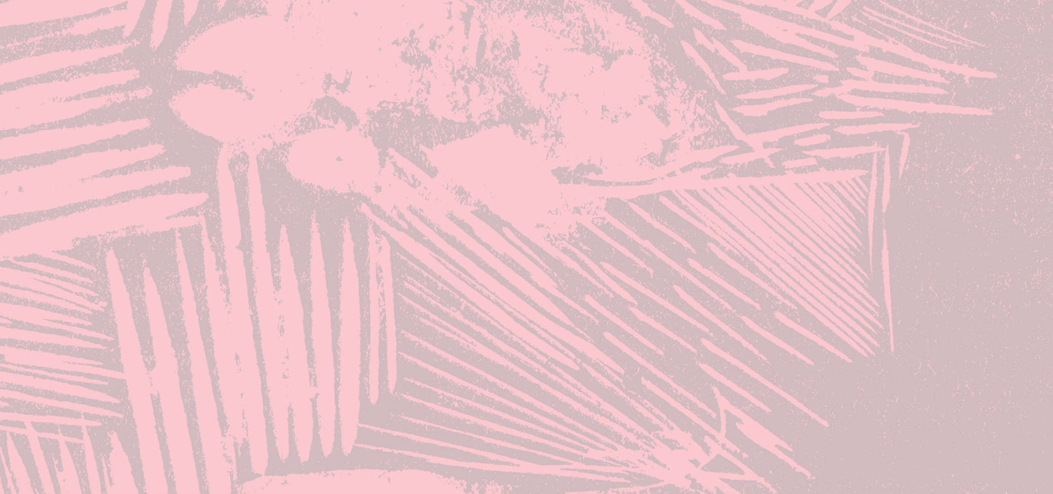 Inscripciones. Fracturas del lazo social y procesos de subjetivación